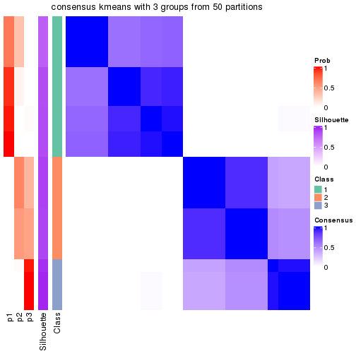 plot of chunk tab-node-032-consensus-heatmap-2