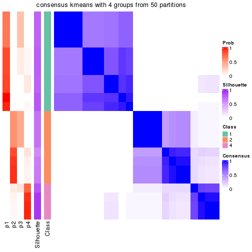 plot of chunk tab-node-032-consensus-heatmap-3