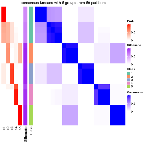 plot of chunk tab-node-032-consensus-heatmap-4