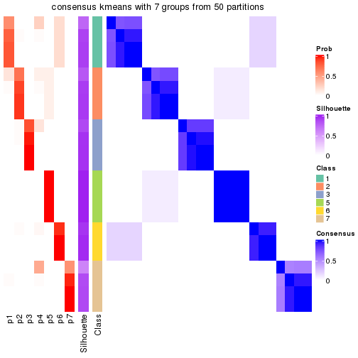 plot of chunk tab-node-032-consensus-heatmap-6