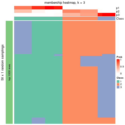 plot of chunk tab-node-032-membership-heatmap-2