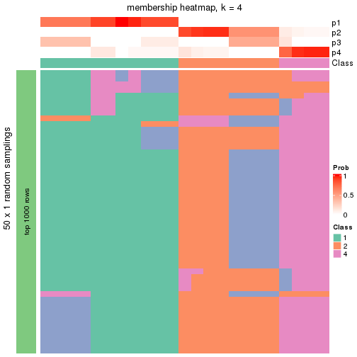 plot of chunk tab-node-032-membership-heatmap-3