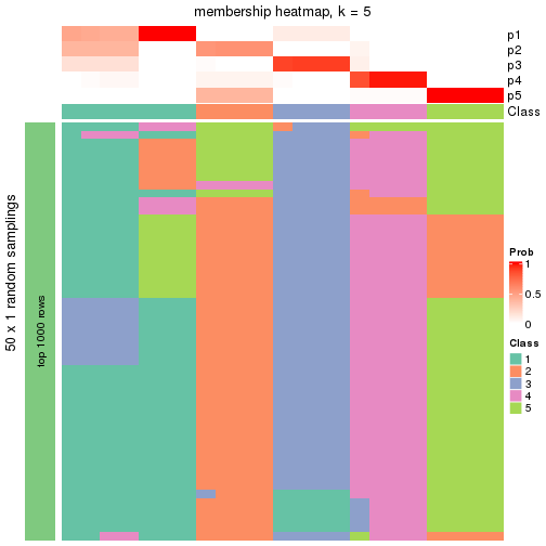 plot of chunk tab-node-032-membership-heatmap-4