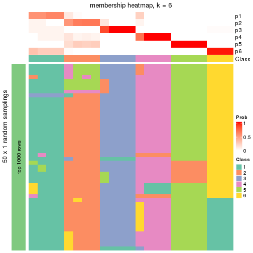 plot of chunk tab-node-032-membership-heatmap-5