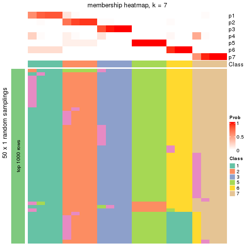 plot of chunk tab-node-032-membership-heatmap-6