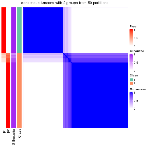 plot of chunk tab-node-04-consensus-heatmap-1