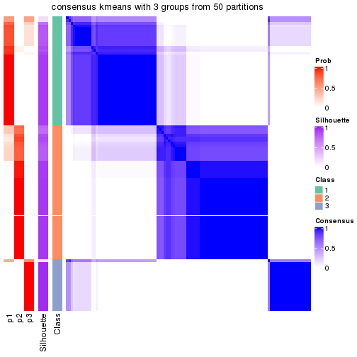 plot of chunk tab-node-04-consensus-heatmap-2