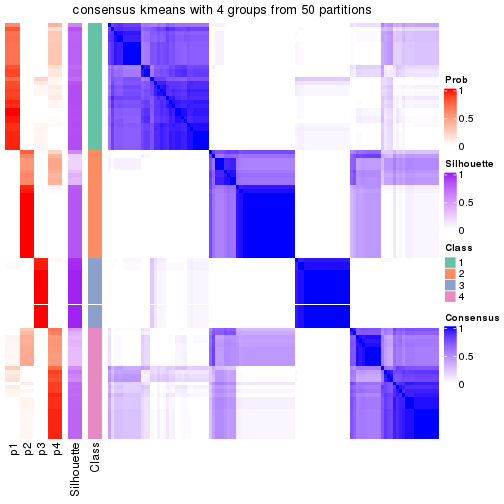 plot of chunk tab-node-04-consensus-heatmap-3