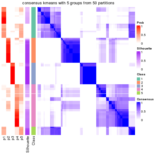 plot of chunk tab-node-04-consensus-heatmap-4