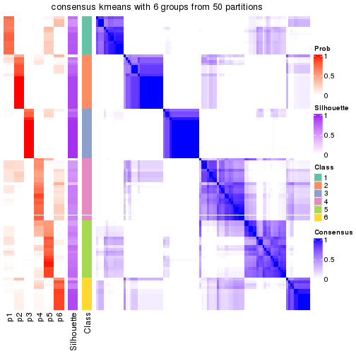 plot of chunk tab-node-04-consensus-heatmap-5