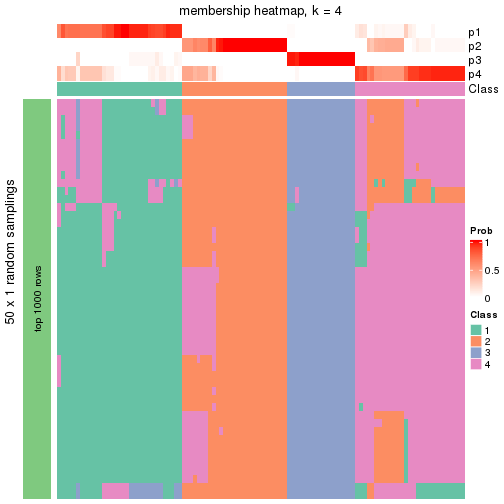 plot of chunk tab-node-04-membership-heatmap-3