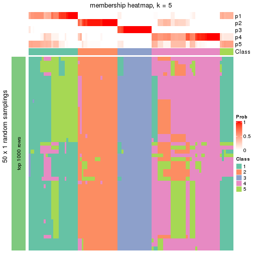 plot of chunk tab-node-04-membership-heatmap-4