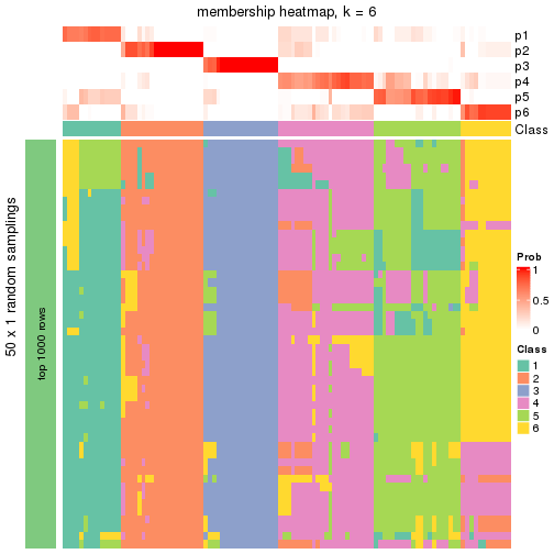 plot of chunk tab-node-04-membership-heatmap-5