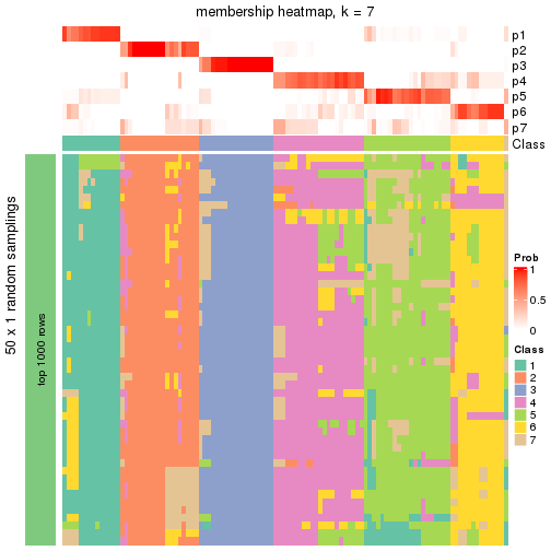 plot of chunk tab-node-04-membership-heatmap-6