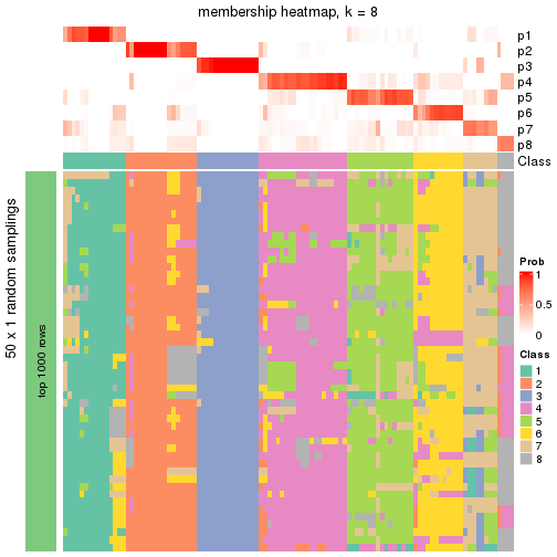 plot of chunk tab-node-04-membership-heatmap-7