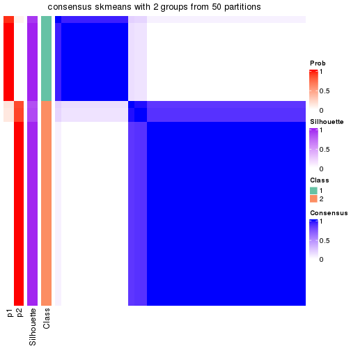 plot of chunk tab-node-041-consensus-heatmap-1