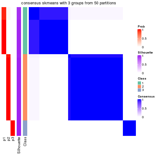 plot of chunk tab-node-041-consensus-heatmap-2