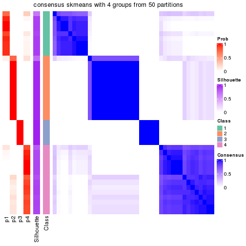 plot of chunk tab-node-041-consensus-heatmap-3