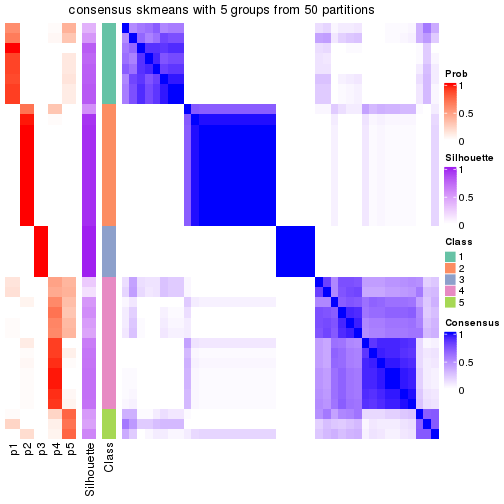 plot of chunk tab-node-041-consensus-heatmap-4