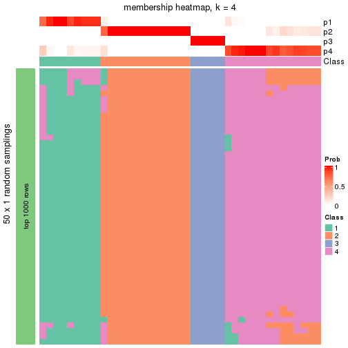 plot of chunk tab-node-041-membership-heatmap-3