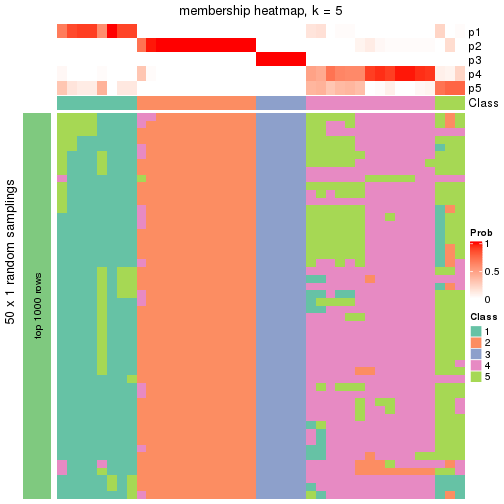 plot of chunk tab-node-041-membership-heatmap-4