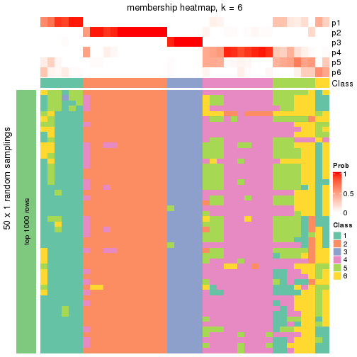 plot of chunk tab-node-041-membership-heatmap-5