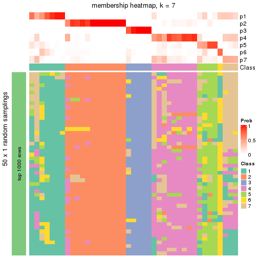 plot of chunk tab-node-041-membership-heatmap-6