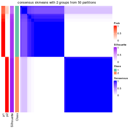 plot of chunk tab-node-042-consensus-heatmap-1