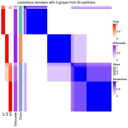 plot of chunk tab-node-042-consensus-heatmap-2