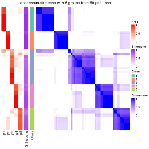 plot of chunk tab-node-042-consensus-heatmap-4