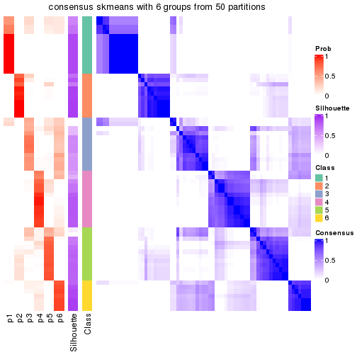 plot of chunk tab-node-042-consensus-heatmap-5