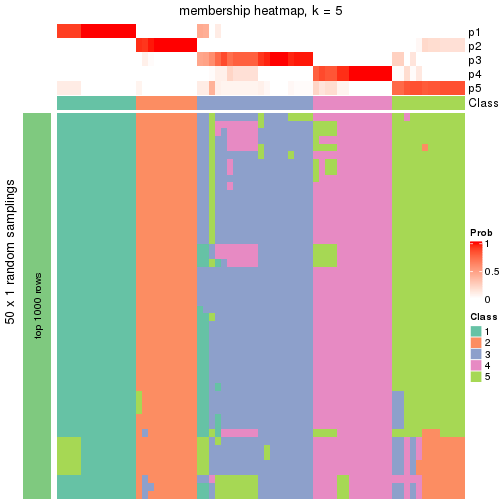 plot of chunk tab-node-042-membership-heatmap-4