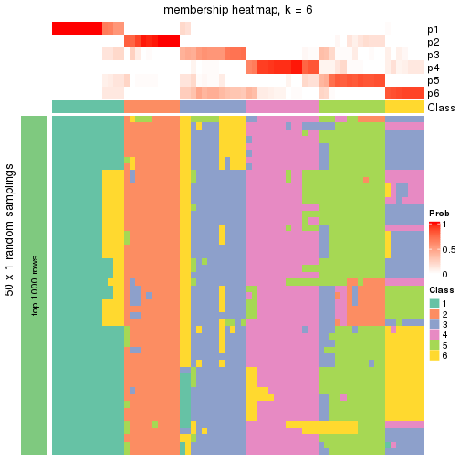 plot of chunk tab-node-042-membership-heatmap-5