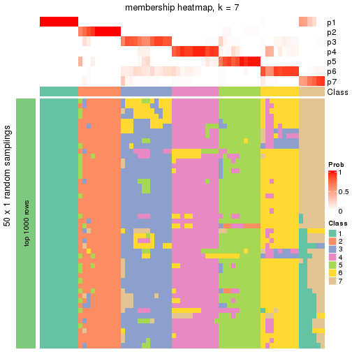 plot of chunk tab-node-042-membership-heatmap-6