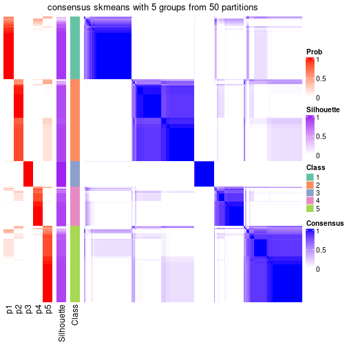 plot of chunk tab-node-0-consensus-heatmap-4