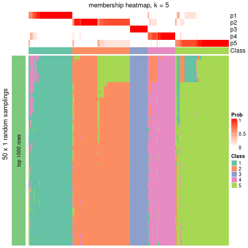 plot of chunk tab-node-0-membership-heatmap-4