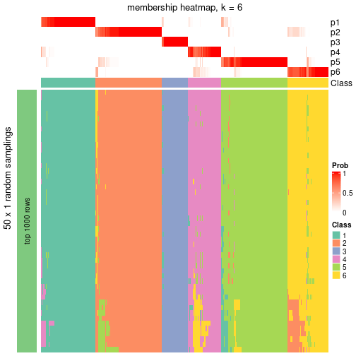 plot of chunk tab-node-0-membership-heatmap-5