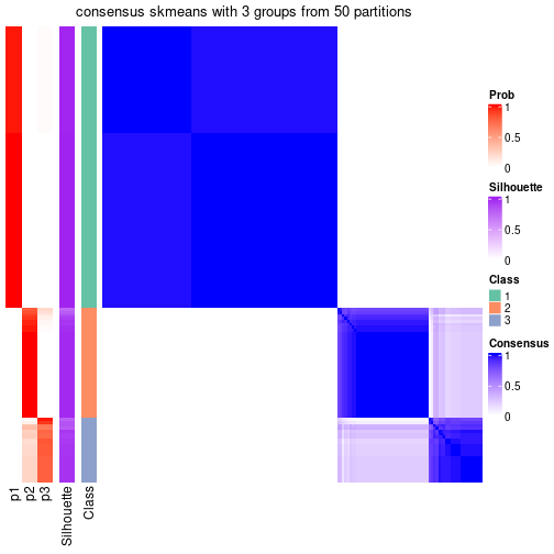 plot of chunk tab-node-01-consensus-heatmap-2