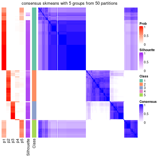 plot of chunk tab-node-01-consensus-heatmap-4