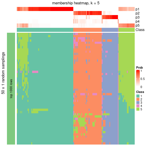 plot of chunk tab-node-01-membership-heatmap-4