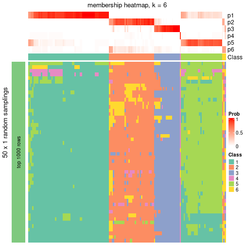 plot of chunk tab-node-01-membership-heatmap-5