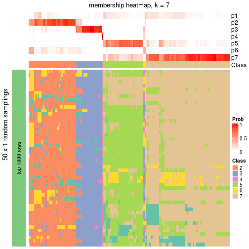 plot of chunk tab-node-01-membership-heatmap-6