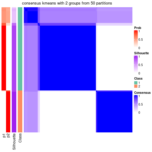 plot of chunk tab-node-011-consensus-heatmap-1