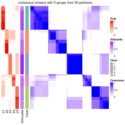 plot of chunk tab-node-011-consensus-heatmap-4