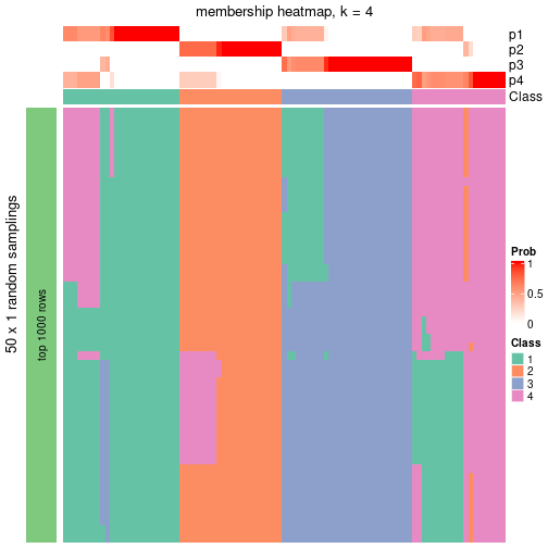 plot of chunk tab-node-011-membership-heatmap-3