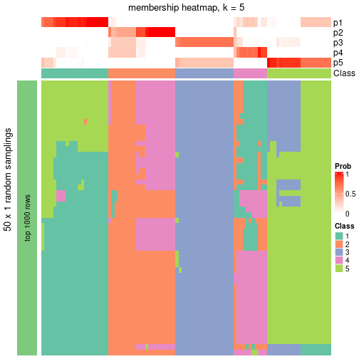 plot of chunk tab-node-011-membership-heatmap-4