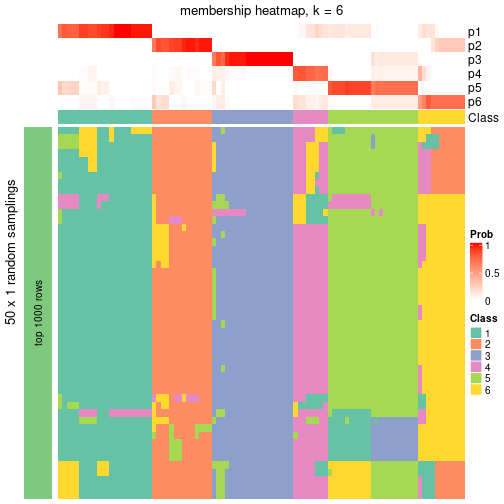 plot of chunk tab-node-011-membership-heatmap-5