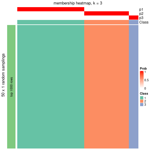 plot of chunk tab-node-0111-membership-heatmap-2