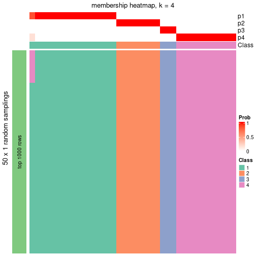 plot of chunk tab-node-0111-membership-heatmap-3