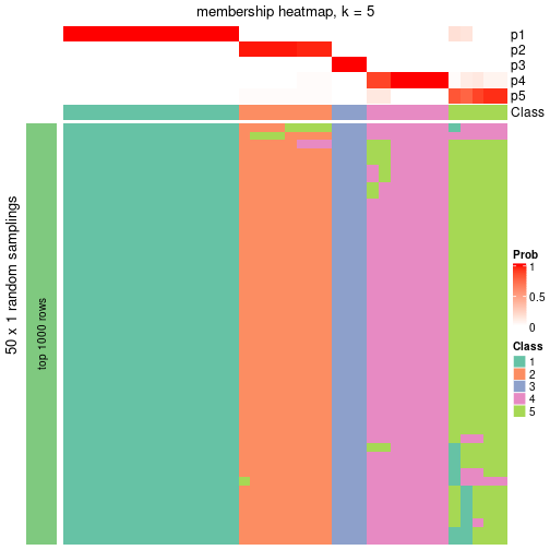 plot of chunk tab-node-0111-membership-heatmap-4